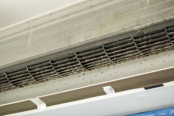 Best Affordable Duct Cleaning Services  in Paramount, CA